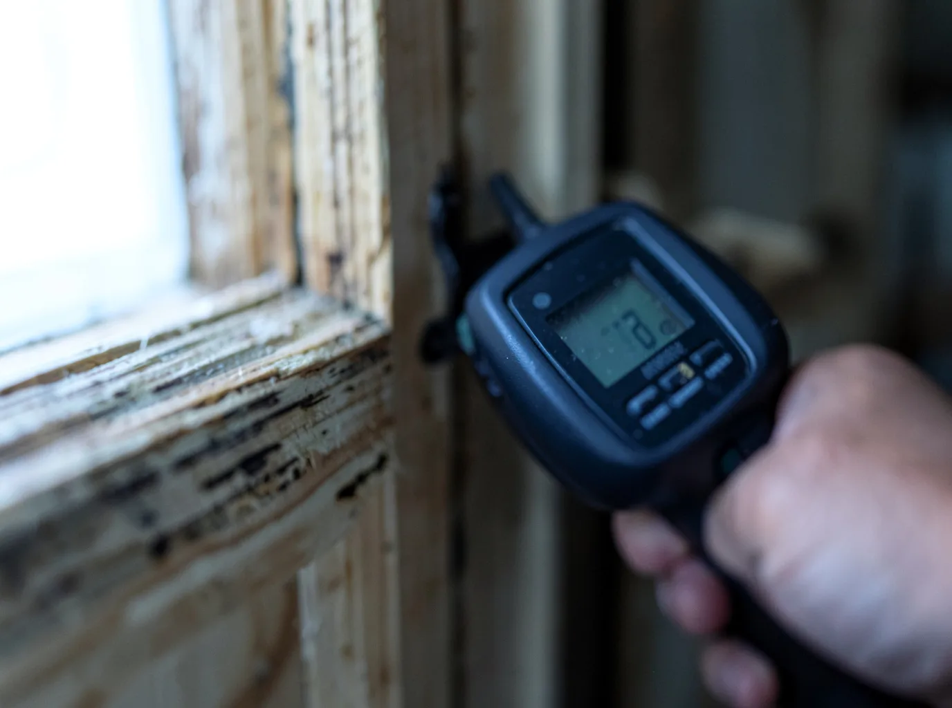 Moisture Inspection And Documentation in Mears, VA